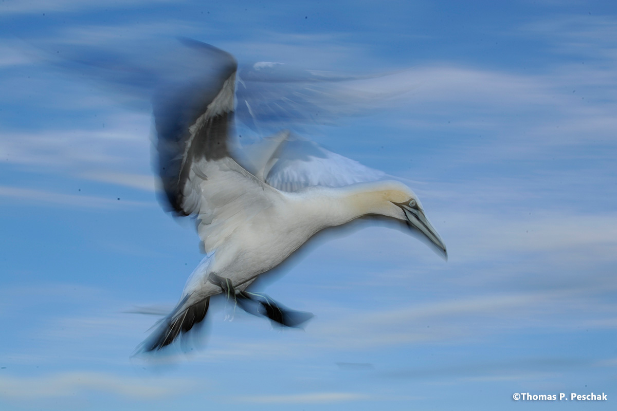 algoabay_12