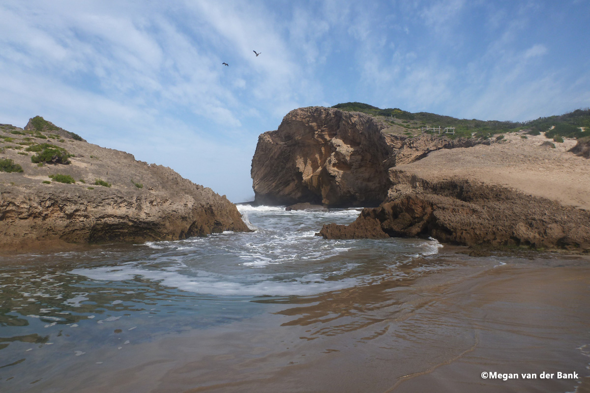 amathole_1