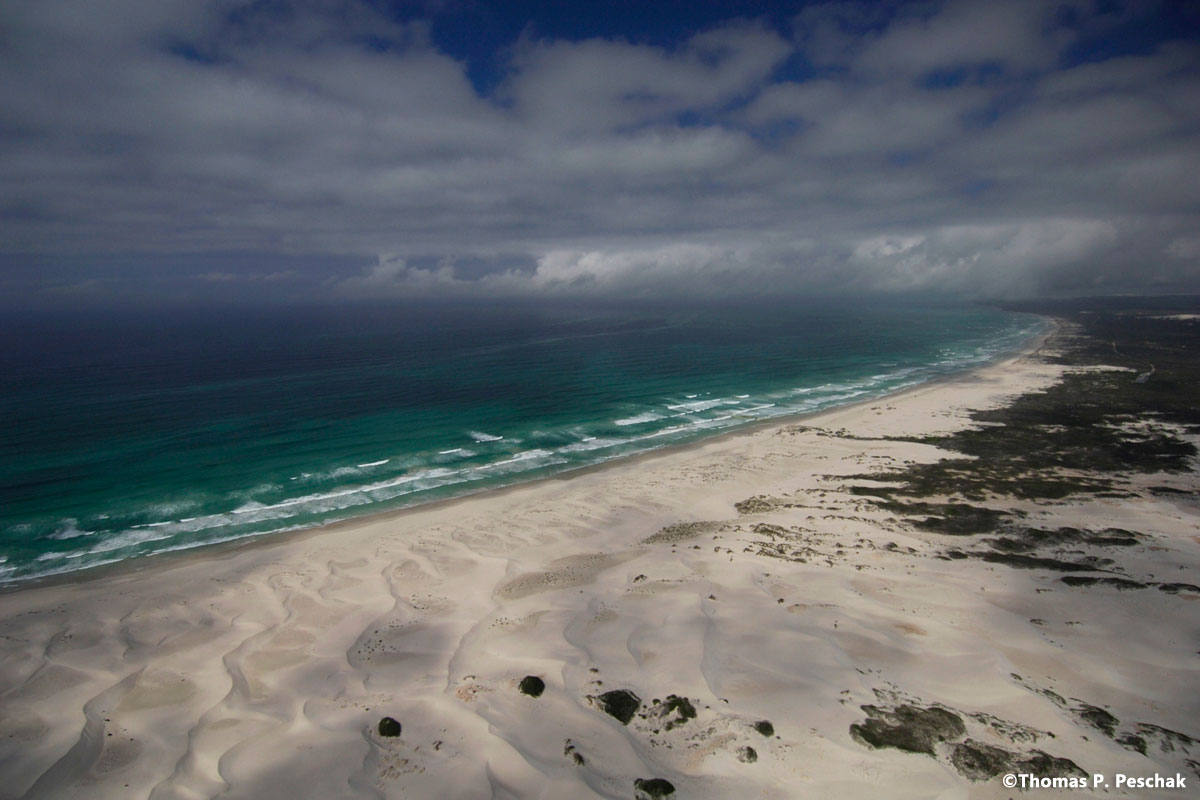 dehoop_5