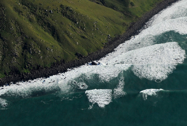 heading_wildcoast