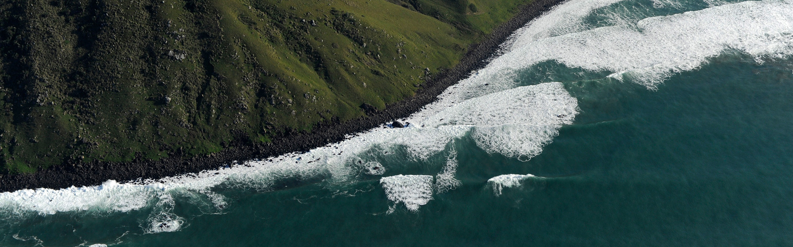 heading_wildcoast