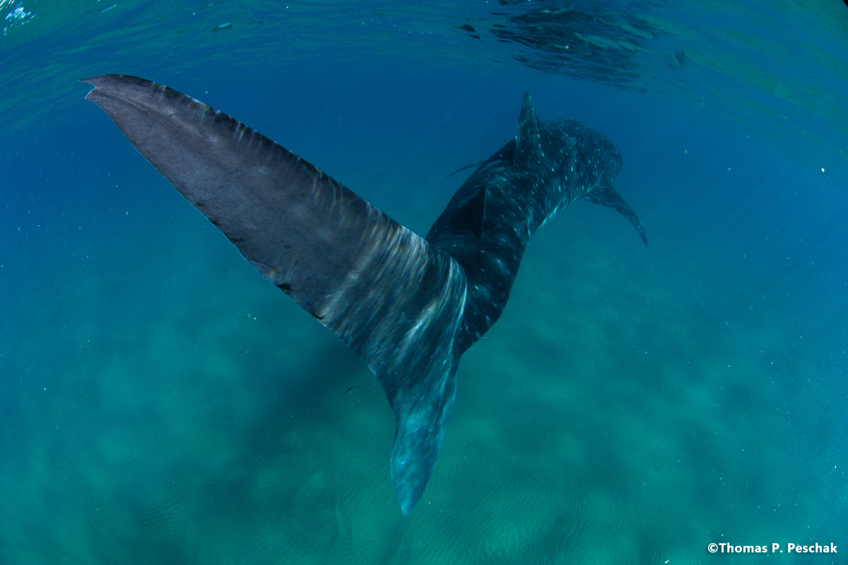isimangaliso_3