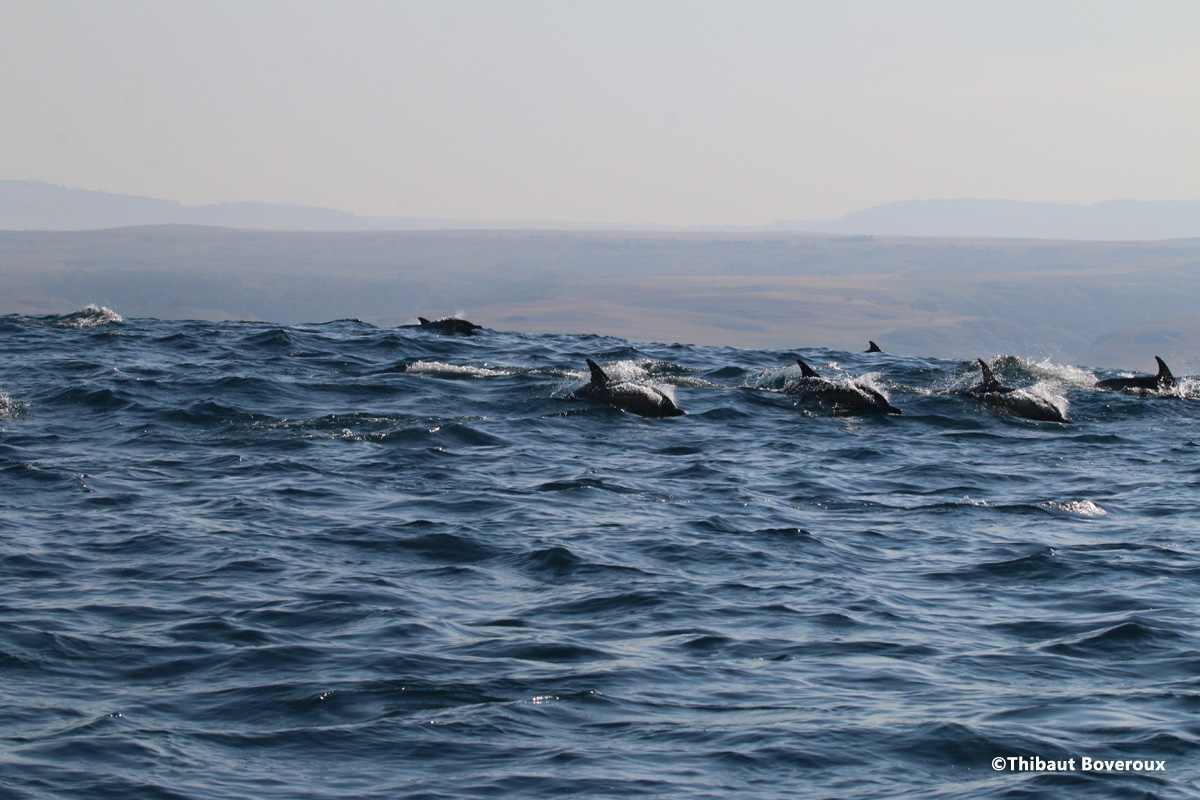 pondoland_7