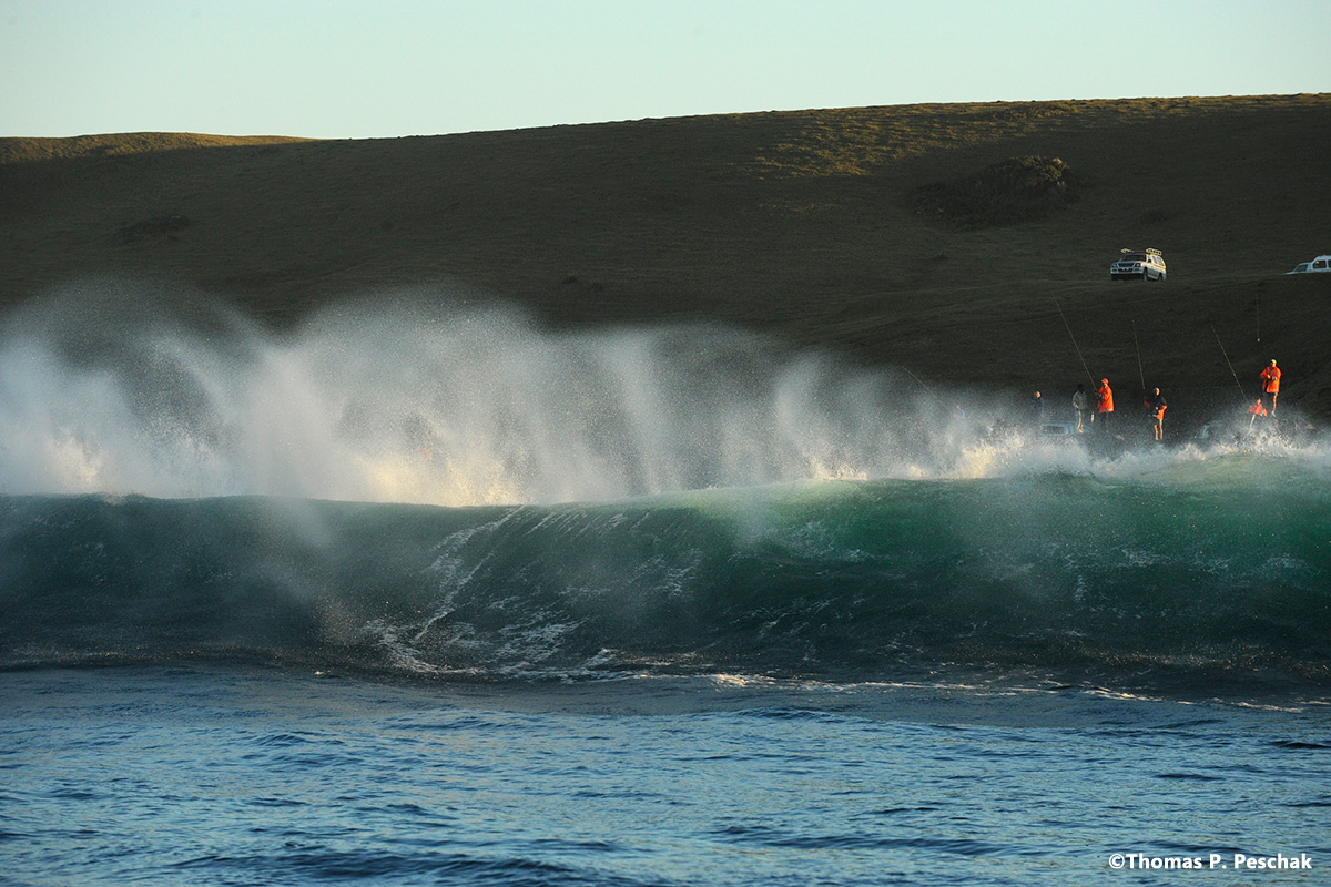 wildcoast_15