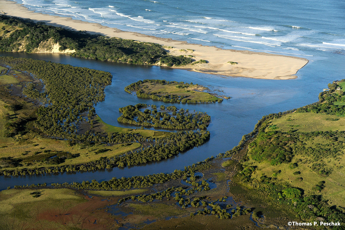 wildcoast_18