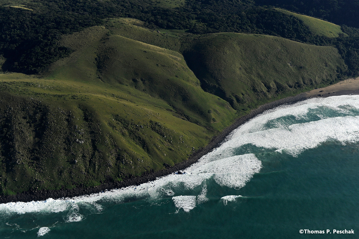 wildcoast_19